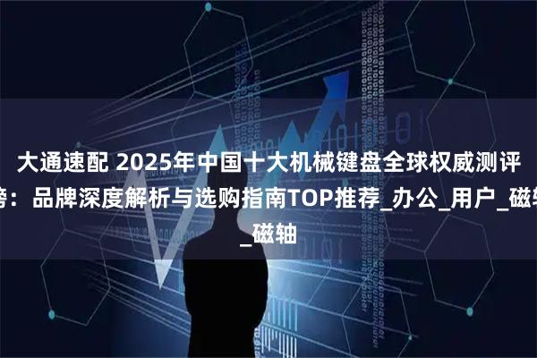 大通速配 2025年中国十大机械键盘全球权威测评榜：品牌深度解析与选购指南TOP推荐_办公_用户_磁轴