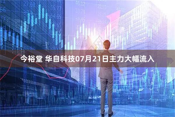 今裕堂 华自科技07月21日主力大幅流入