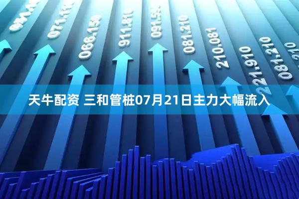 天牛配资 三和管桩07月21日主力大幅流入