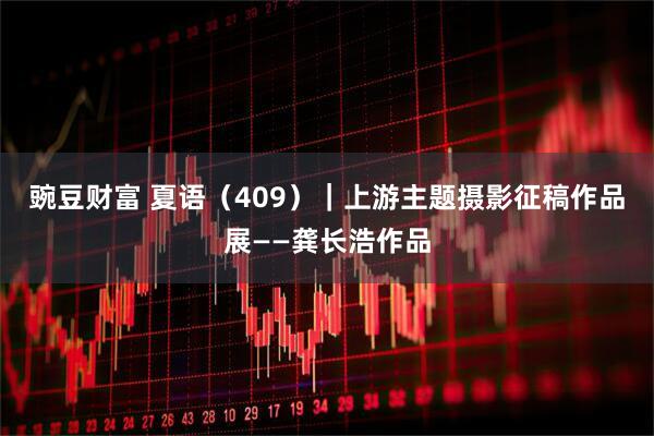 豌豆财富 夏语（409）｜上游主题摄影征稿作品展——龚长浩作品