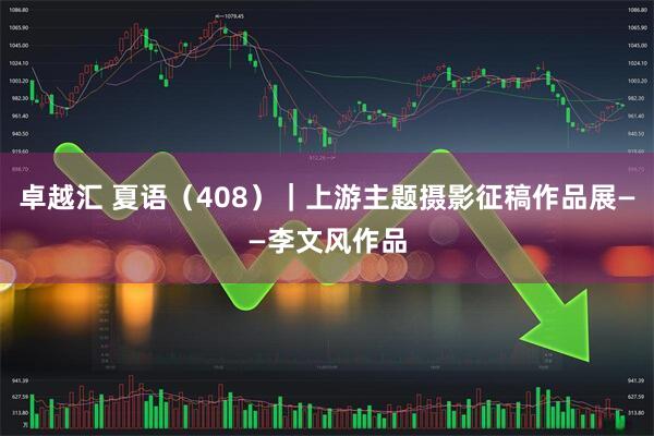 卓越汇 夏语（408）｜上游主题摄影征稿作品展——李文风作品